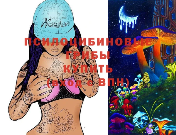 соль ск Алексеевка