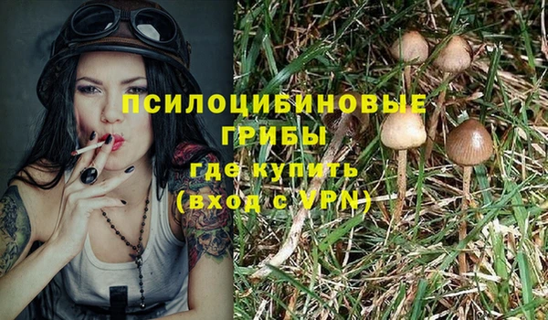 трава Алексин